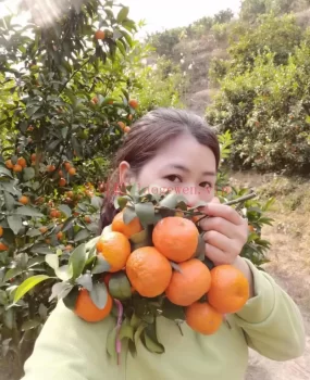 酒店约兼职少妇佳佳